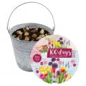 Baltus Giftbox Bucket Flower Emmer met bloembollen per 25 stuks