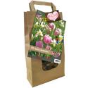 Baltus Giftbox Urban Flower Lovers Easy Gardening bloembollen per 50 stuks