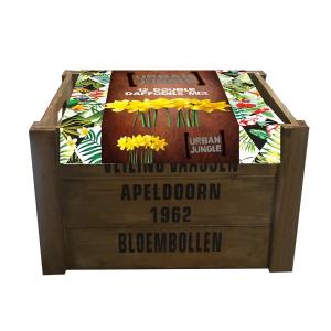 Baltus Giftbox Urban Jungle Flower Bulbs Krat XL Quail bloembollen per 50 stuks