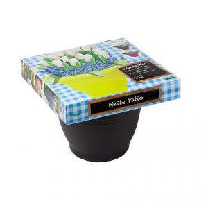 Baltus Giftbox White Patio bloembollen per 25 stuks