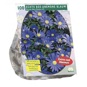 Baltus Anemone Blanda Blauw bloembollen per 100 stuks Baltus Anemone Blanda Blauw bloembollen per 100 stuks