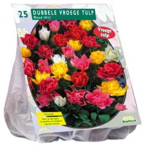 Baltus Tulipa Dubbel Mix tulpen bloembollen per 25 stuks