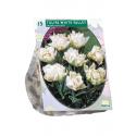 Baltus Tulipa Dubbel Vroeg White Valley tulpen bloembollen per 15 stuks