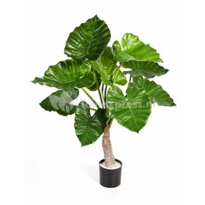 Kunstplant Alocasia calidora S