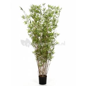 Kunstplant Bamboe oriental L