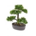 Kunstplant Bonsai cedar M