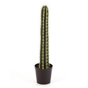 Kunstplant Cactus straight M