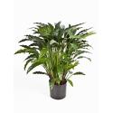 Kunstplant Calathea M