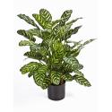 Kunstplant Calathea green M