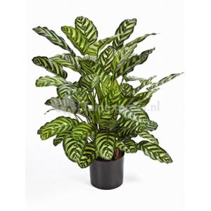 Kunstplant Calathea green M