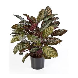 Kunstplant Calathea red L