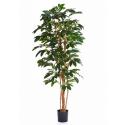 Kunstplant Coffea arabica L