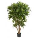 Kunstplant Dracaena reflexa jamaica