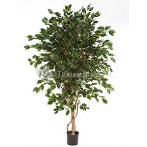 Kunstplant Ficus exotica de luxe L