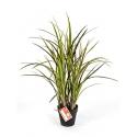 Kunstplant Natural grass green M