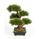 Kunstplant Pinus bonsai L