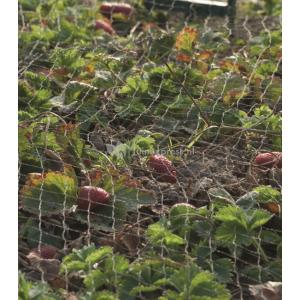 Tuinnet grofmazig 5 x 2 meter