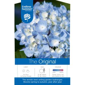 Hydrangea Macrophylla "Endless Summer Blue"® boerenhortensia