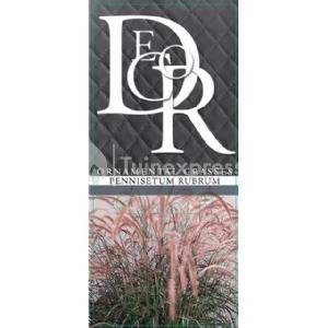 Lampenpoetsersgras (Pennisetum advena "Rubrum") siergras