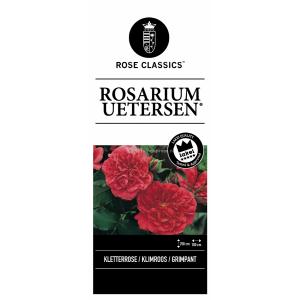 Rozenstruik Rosarium Uetersen