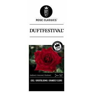 Rozenstruik Duftfestival