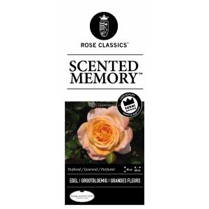 Rozenstruik Scented Memory