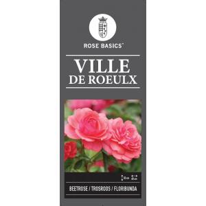 Trosroos op stam (rosa "Ville de Roeulx")