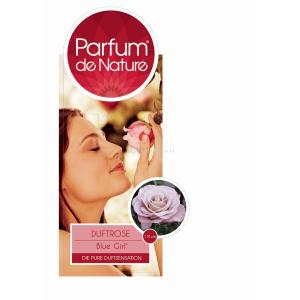 Rozen op stam Parfum de Nature Blue Girl