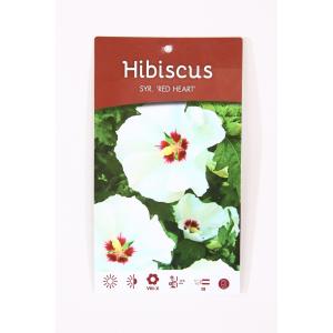 Hibiscus struik Red Heart