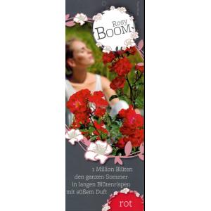 Rozenstruik Rosy boom Red