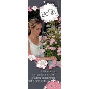 Rozenstruik Rosy boom Rose