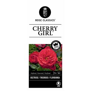 Rozenstruik Cherry Girl