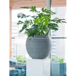 Pot Ridged Horizontal Abby L Dark grey 52x45 cm ronde bloempot