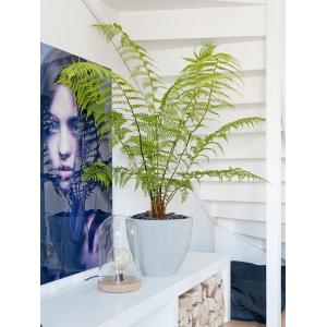 Pot Ridged Vertical Jesslyn XS Cement 42x35 cm ronde bloempot