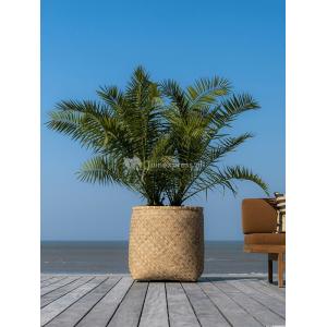 Bohemian Zayn L Bamboo ronde beige plantenbak 63x69cm voor binnen en buiten