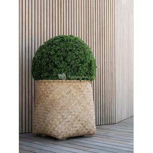 Bohemian Zayn M Bamboo ronde beige plantenbak 55x60cm voor binnen en buiten