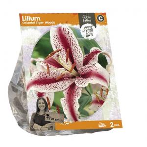 Baltus Lilium Oriental Tiger Woods Lelie bloembollen per 2 stuks