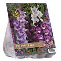 Baltus Urban Flowers Purple Sky bloembollen per 20 stuks