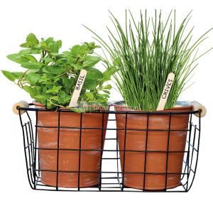 Baltus Urban Gardening Herbs zaden giftbox per 2 stuks