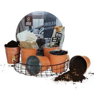 Baltus Urban Industrial Herbs zaden giftbox