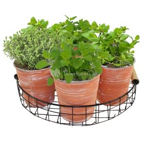 Baltus Urban Industrial Herbs zaden giftbox