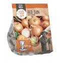 Baltus Uien Red Sun 500 gram per stuks