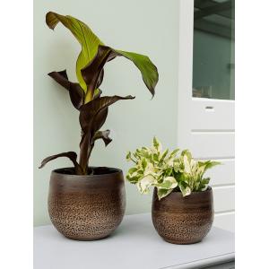 Pot Mya Deep Champagne 18x16 cm ronde bruine bloempot voor binnen