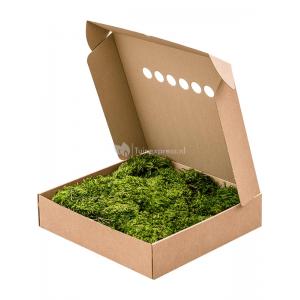 Hairmoss Bosgroen mos 4 windowbox 0,64 m2 gepreserveerd mos