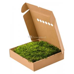 Longmoss Bosgroen mos 4 windowbox 1,32 m2 gepreserveerd mos