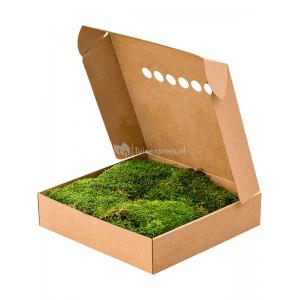 Platmos Bosgroen mos 4 windowbox 2 m2 gepreserveerd mos