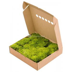 Rockmoss Lichtgroen mos 4 windowbox 1,6 m2 gepreserveerd mos