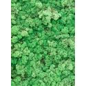 Rendiermos Gras Groen bulk 0,45 m2 gepreserveerd mos