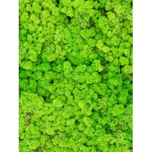 Rendiermos Licht Gras Groen bulk 0,45 m2 gepreserveerd mos