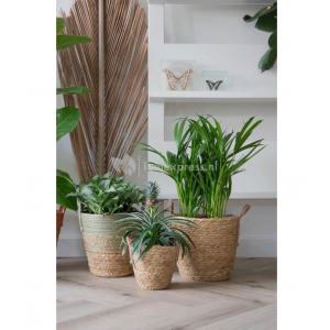 Pot Hayden Swirl Plantenmand L 25x24 cm naturel